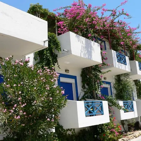 Hotel Armonia 3*